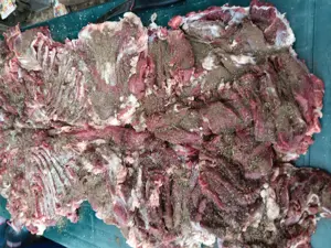 Brânză pastramă telemea  - imagine 2