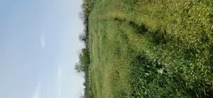 Vand teren intravila , zona case de vacante - imagine 3