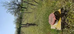 Vand teren intravila , zona case de vacante - imagine 8