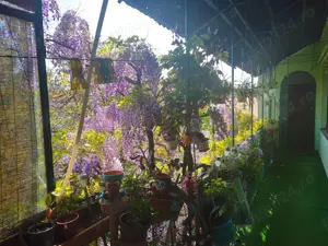 Vand apartament 4 camere ultra central direct proprietar - imagine 9