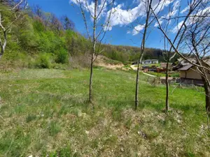 Casa spațioasă cu 6 camere și teren generos, lângă pădure - Valea Ursului/Argeș - imagine 14