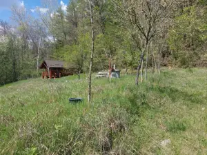 Casa imbratisata de padure - Valea Ursului, Bascov - imagine 16