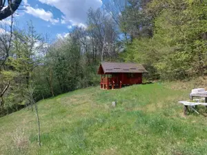 Casa imbratisata de padure - Valea Ursului, Bascov - imagine 15