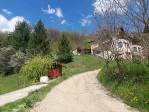 Casa imbratisata de padure - Valea Ursului, Bascov - imagine 18