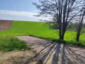 Super ocazie! 3.73 ha cu deschidere 90m,  intrare asfaltata din  E 85! - imagine 6