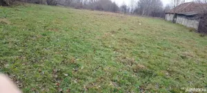 Teren de Vinzare în Sâmbăta  de Sus  - imagine 2