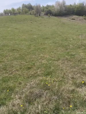 vand teren intravilan extravilan  - imagine 9