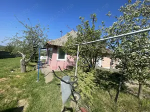 Casa de vanzare Baneasa - imagine 4