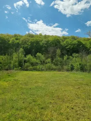 Vand teren Tisau jud Buzau - imagine 2