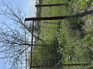 Vanzare Teren Ramnicu Valcea, Colonie Nuci - imagine 4