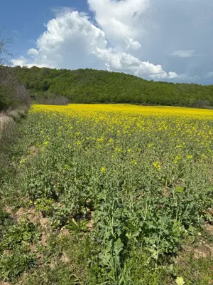 Teren intravilan parcelabil 3283 mp langa Valenii de Munte - imagine 9