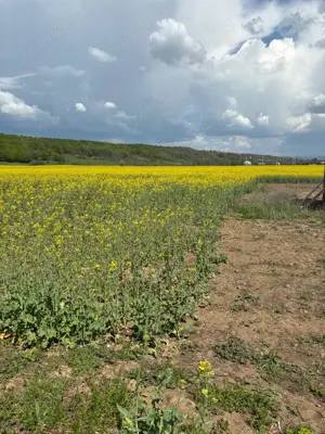 Teren intravilan parcelabil 3283 mp langa Valenii de Munte - imagine 8