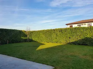 Proprietar vand casa individuala in localitatea Sag - imagine 2