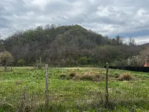 Teren de vânzare Filipeștii de Pădure - imagine 2