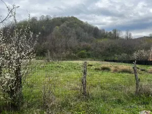 Teren de vânzare Filipeștii de Pădure - imagine 3