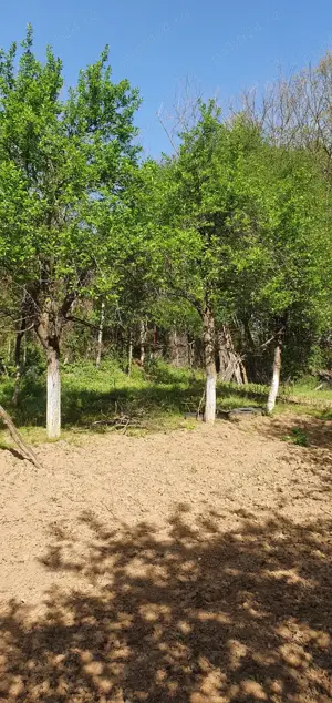 Vand terenuri -intravilan Doclin - imagine 4