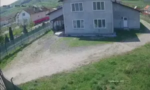 Hală de vanzare cu birouri si teren aferent - imagine 2