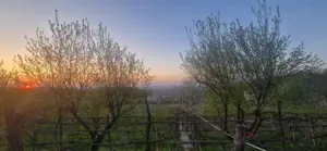 Casa de vânzare Bucium Pietrarie Iasi - imagine 5