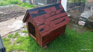 Cușcă pentru câini