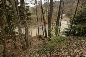 Proprietate unică în Tarcău – 30.283 mp intravilan, casă P+M - imagine 18