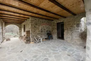 Proprietate unică în Tarcău – 30.283 mp intravilan, casă P+M - imagine 11