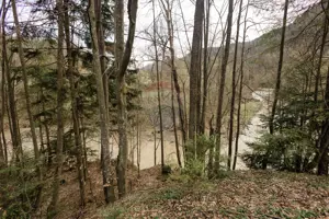 Proprietate unică în Tarcău – 30.283 mp intravilan, casă P+M - imagine 19