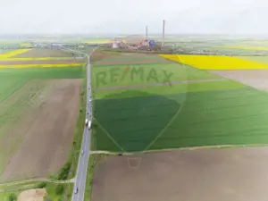 Teren 30,000mp Arad / Soseaua Centura Arad Nord - imagine 5