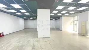 SPATIU COMERCIAL TITULESCU - PTA VICTORIEI - imagine 4