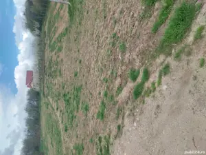 teren  valea geamăna pitesti