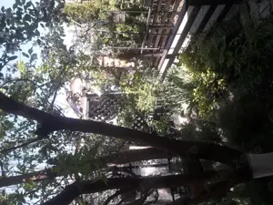 Casa Lumina - imagine 7