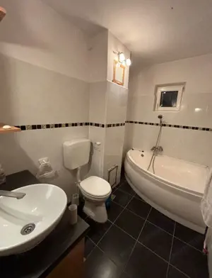 Ap 3 cam , zona Saguna, model mare - imagine 5