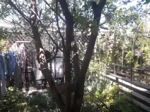 Casa Lumina - imagine 10