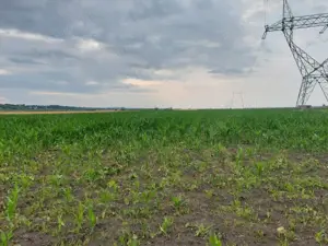 Oportunitate de Investitie!!! - imagine 6