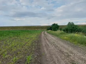 Oportunitate de Investitie!!! - imagine 7