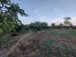 Casa batraneasca bine intretinuta in Bahna - imagine 11