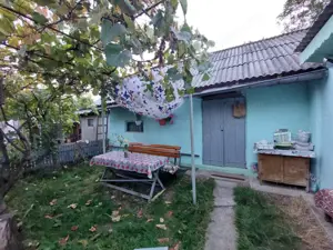 Casa batraneasca bine intretinuta in Bahna - imagine 8