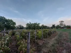 Casa batraneasca bine intretinuta in Bahna - imagine 13