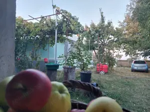 Casa batraneasca bine intretinuta in Bahna - imagine 15