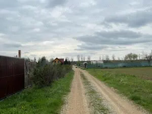 Ciolpani - (spre Izvorani), str. Mihail Manolescu - teren 1500 mp d= 16 m. - imagine 4