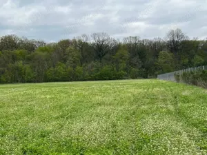 Ciolpani - (spre Izvorani), str. Mihail Manolescu - teren 1500 mp d= 16 m. - imagine 8