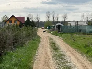 Ciolpani - (spre Izvorani), str. Mihail Manolescu - teren 1500 mp d= 16 m. - imagine 10