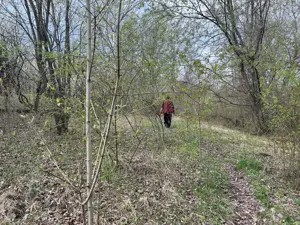 Breaza - str. Plaiului, teren 1400 mp - imagine 8