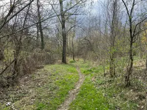 Breaza - str. Plaiului, teren 1400 mp - imagine 13