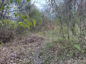 Breaza - str. Plaiului, teren 1400 mp - imagine 12