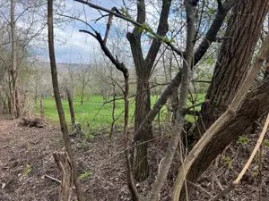 Breaza - str. Plaiului, teren 1400 mp - imagine 9