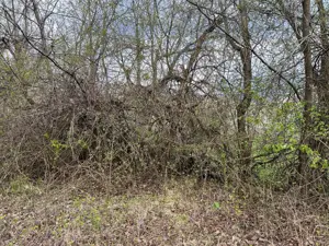 Breaza - str. Plaiului, teren 1400 mp - imagine 14