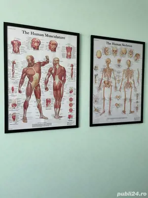 Masaj terapeutic (deep tissue), masaj sportiv, masaj masaj de relaxare, masaj anticelulitic - imagine 4