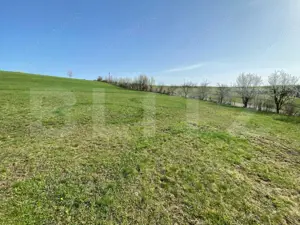 Casa  cu 10000mp de teren in Buza, la 50 km de Cluj-Napoca - imagine 9