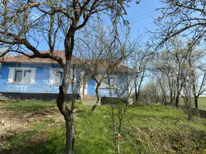 Casa  cu 10000mp de teren in Buza, la 50 km de Cluj-Napoca - imagine 11