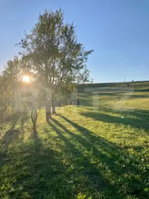 Casa  cu 10000mp de teren in Buza, la 50 km de Cluj-Napoca - imagine 3